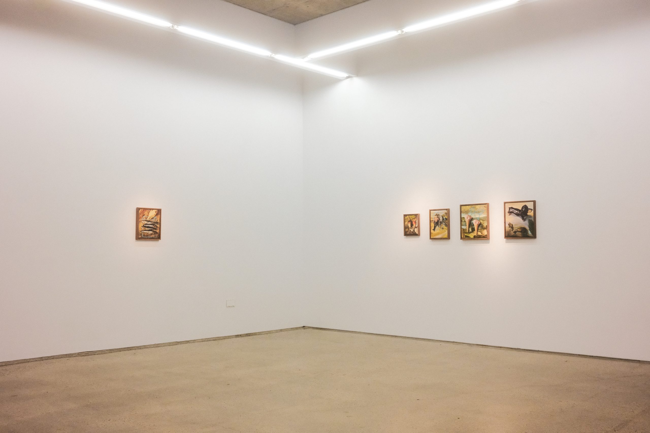 VAI: Geraldine O’Neill @ Kevin Kavanagh Gallery